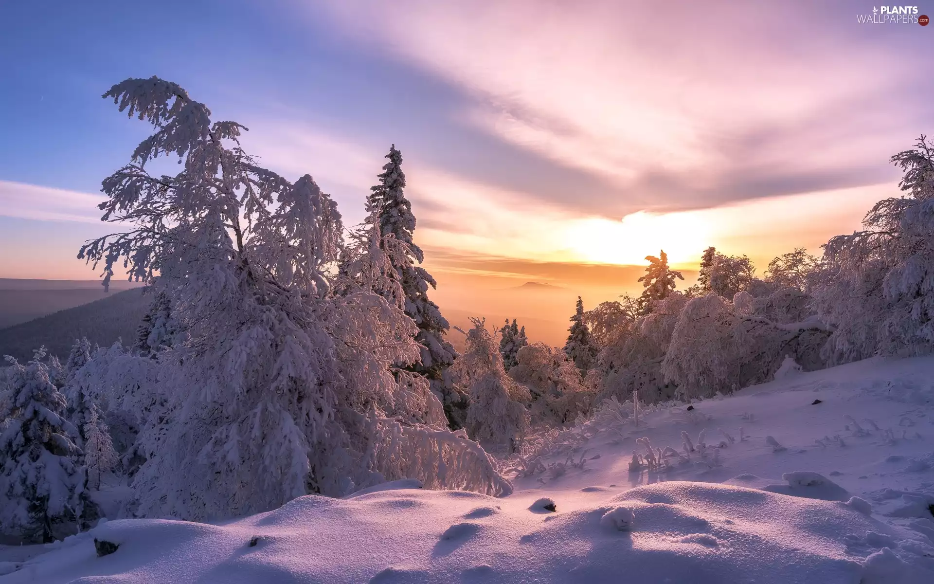 Snowy, Mountains, viewes, forest, winter, trees, Sunrise