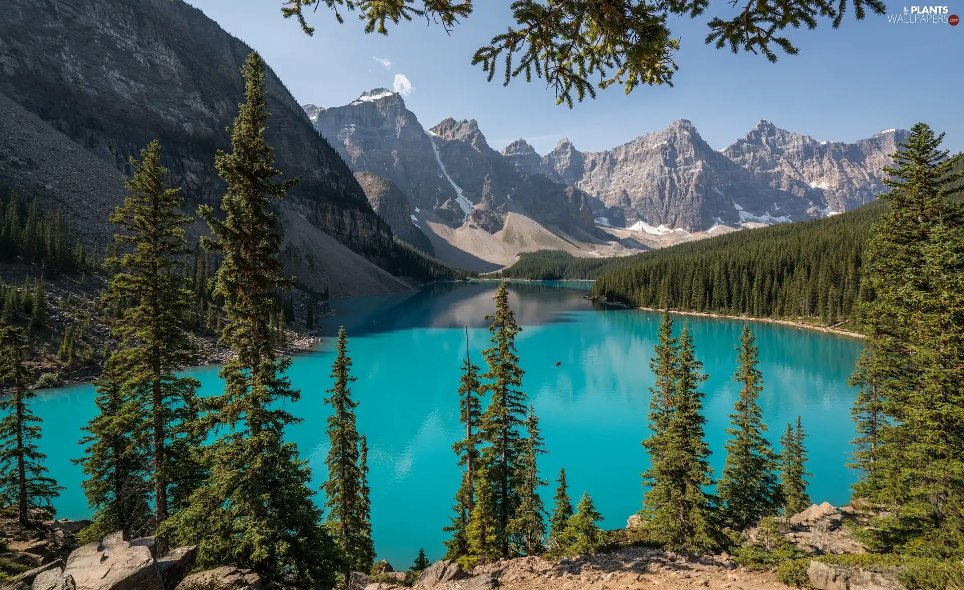 Banff National Park, Lake Moraine, Mountains, forest, viewes, Alberta, Canada, trees