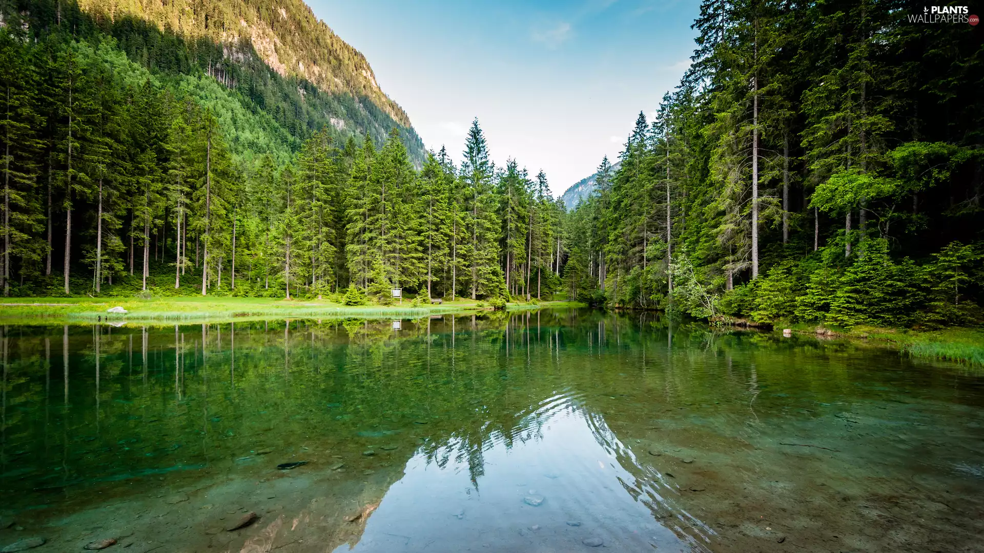 lake, forest, viewes, Mountains, trees