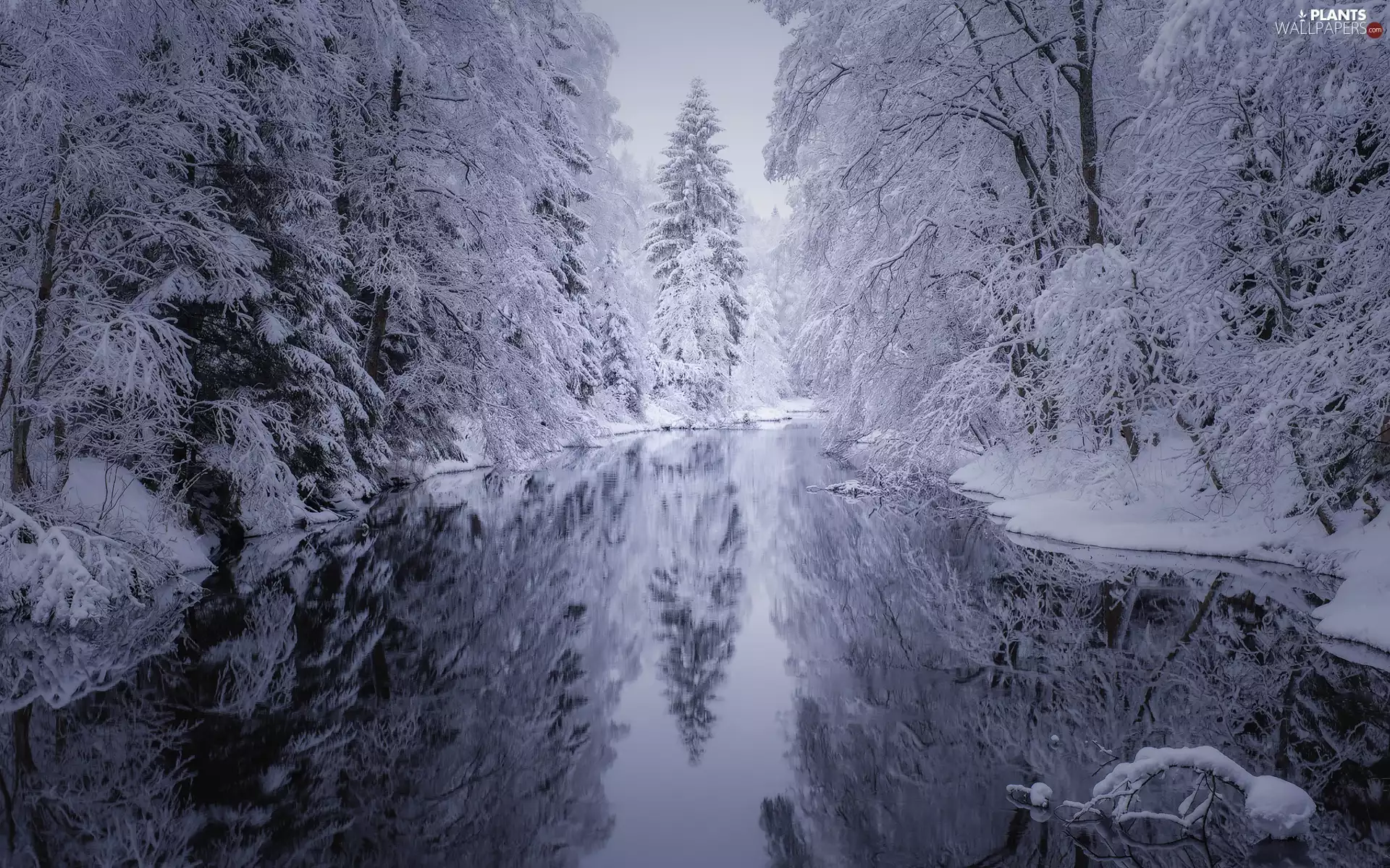 River, forest, viewes, snow, trees
