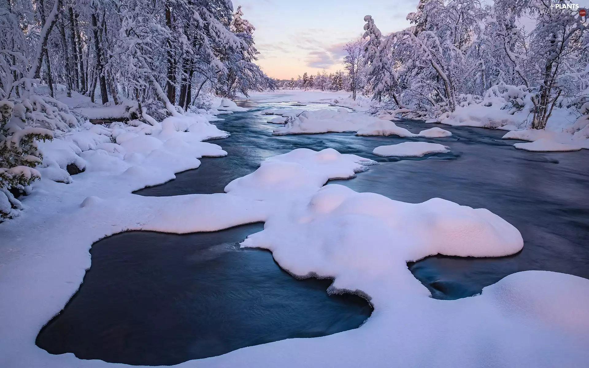 viewes, forest, winter, trees, River