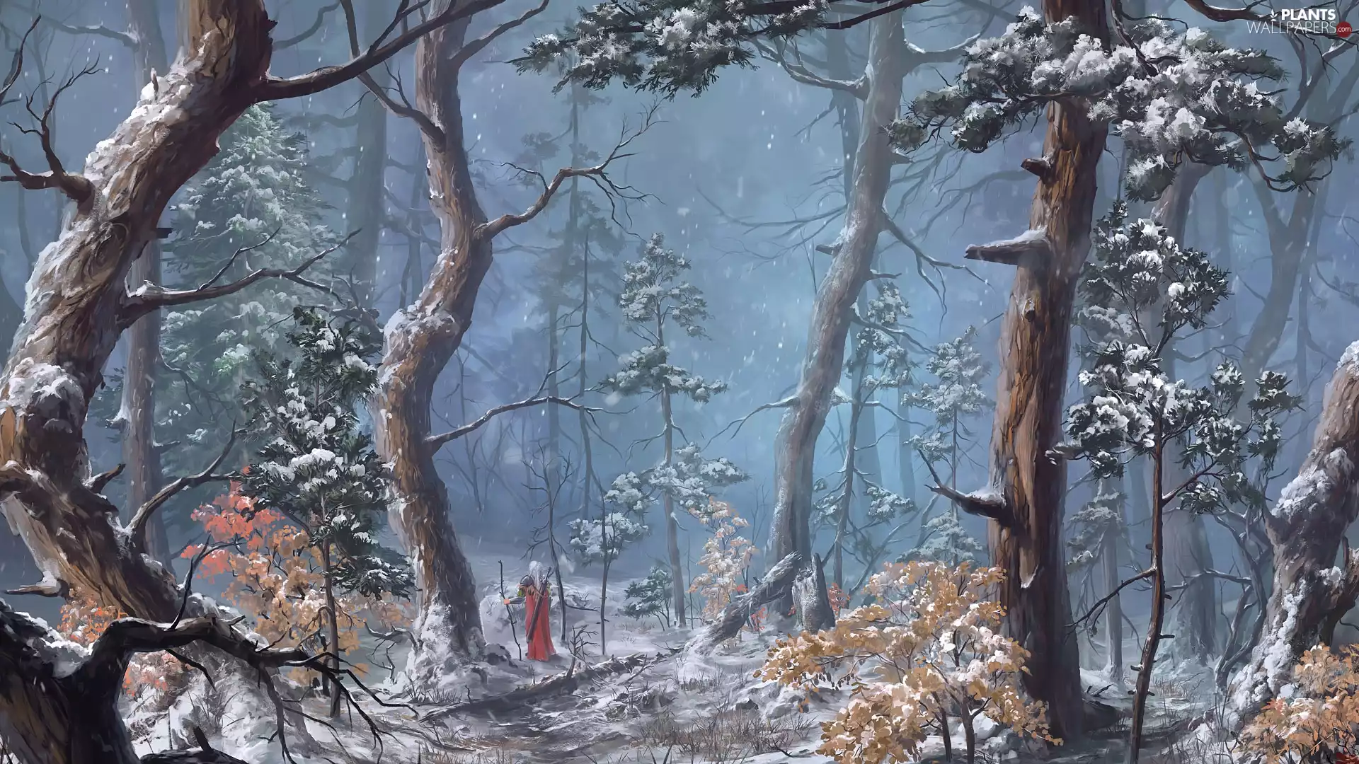 viewes, form, forest, trees, graphics