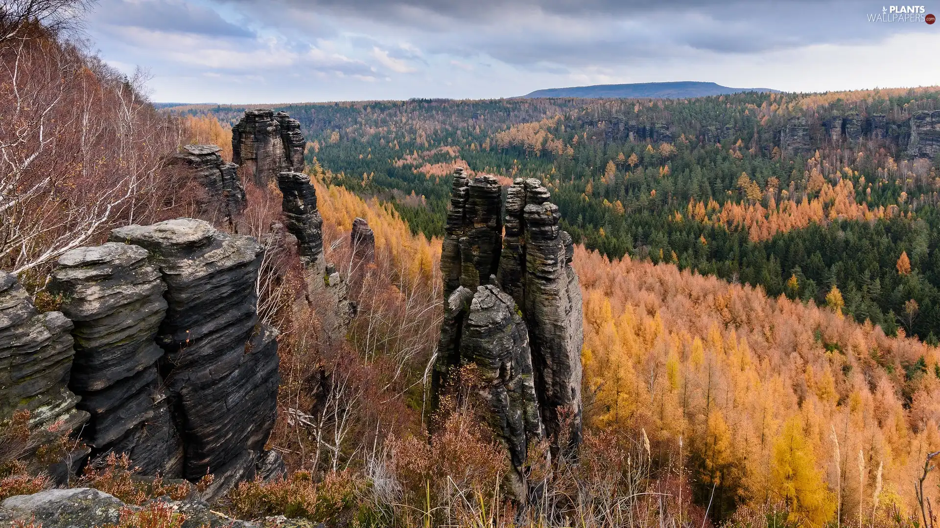 trees, autumn, rocks, formations, viewes, forest