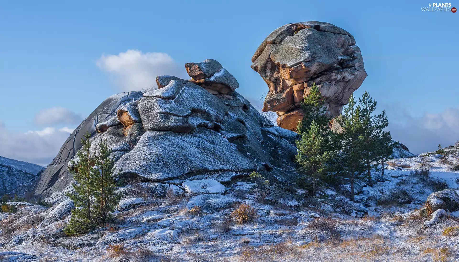 trees, viewes, Rock Formations, rocks, snow