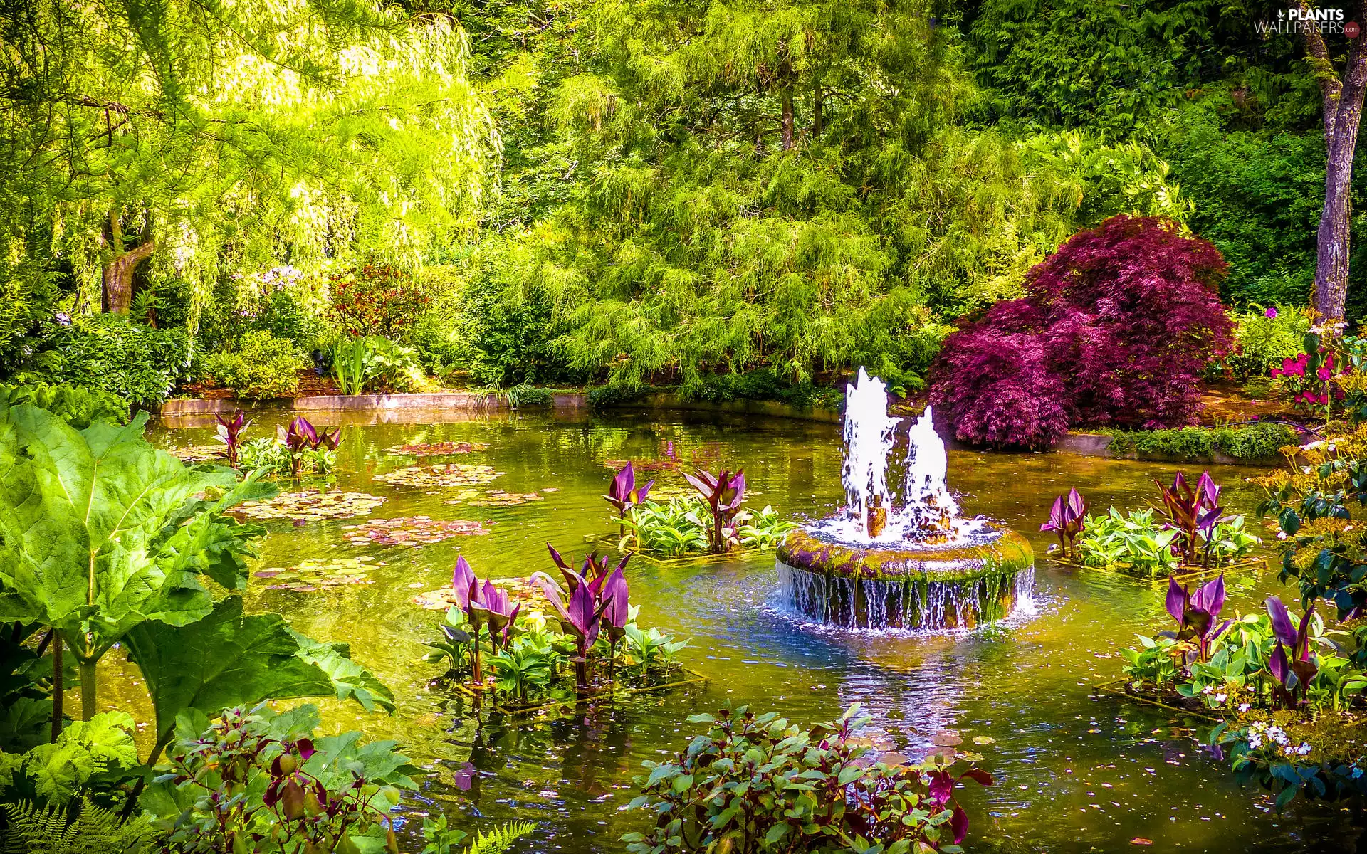 Flowers, Garden, trees, Plants, Pond - car, Canada, Vancouver, fountain, Butchart Gardens, Brentwood Bay, viewes