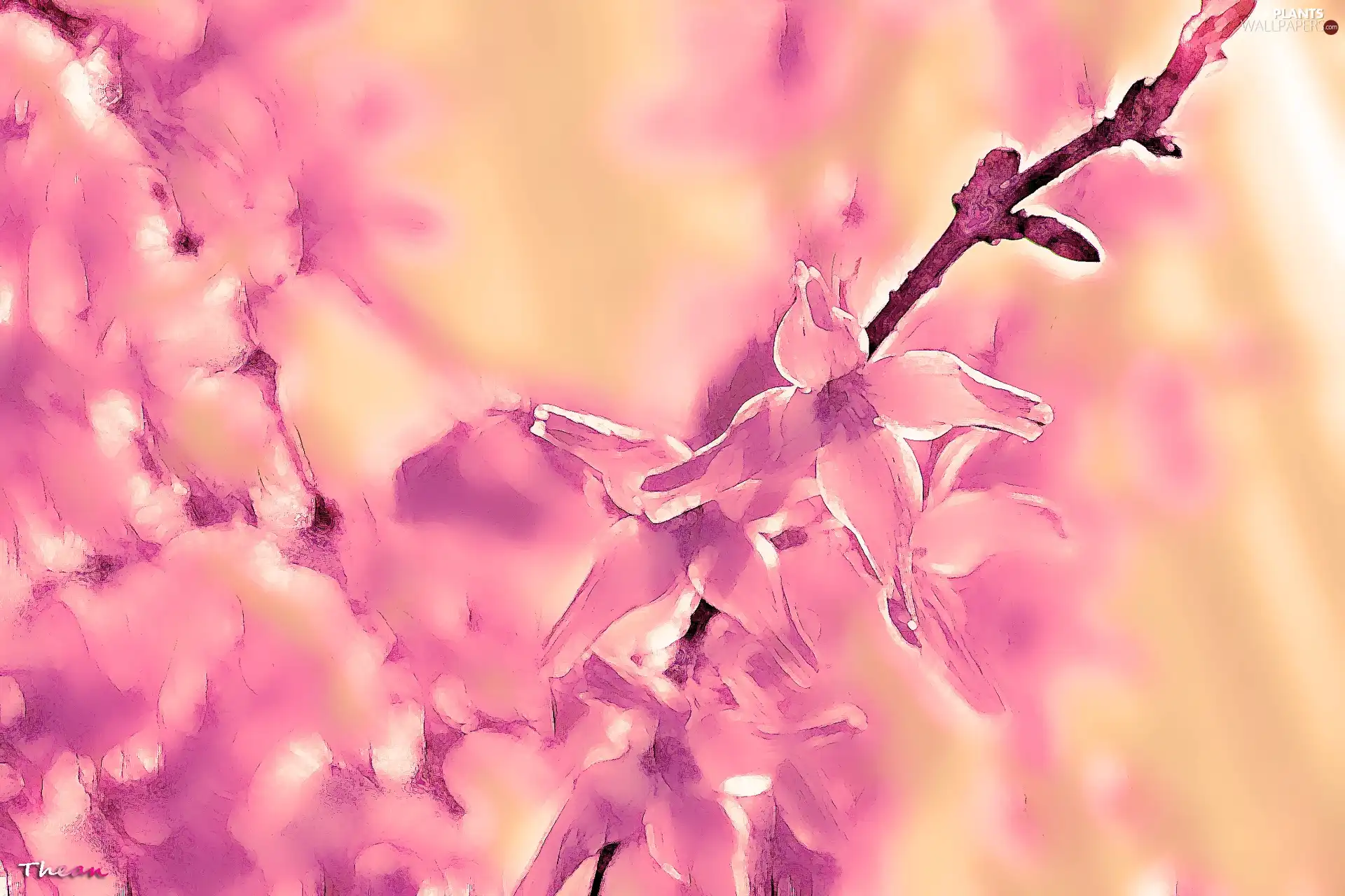 Fractalius, forsythia, graphics