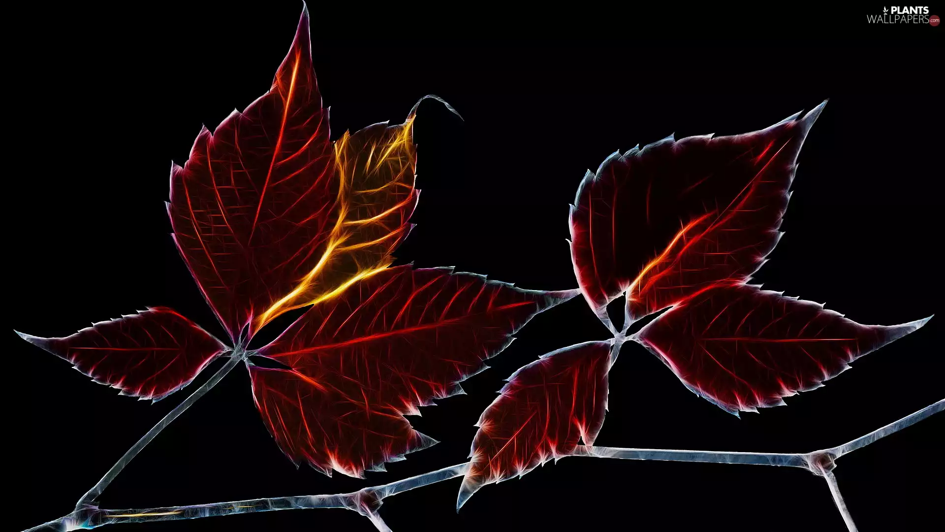 background, Fractalius, Leaf, Black, Autumn