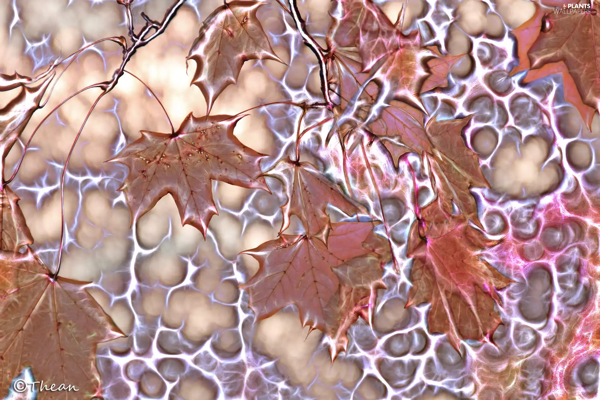 Fractalius, Leaf, maple