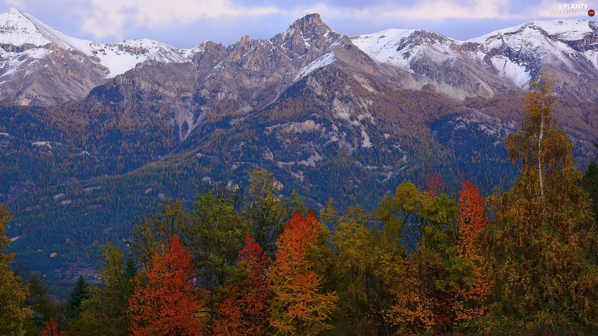 color, Mountains, viewes, France, trees, Alps