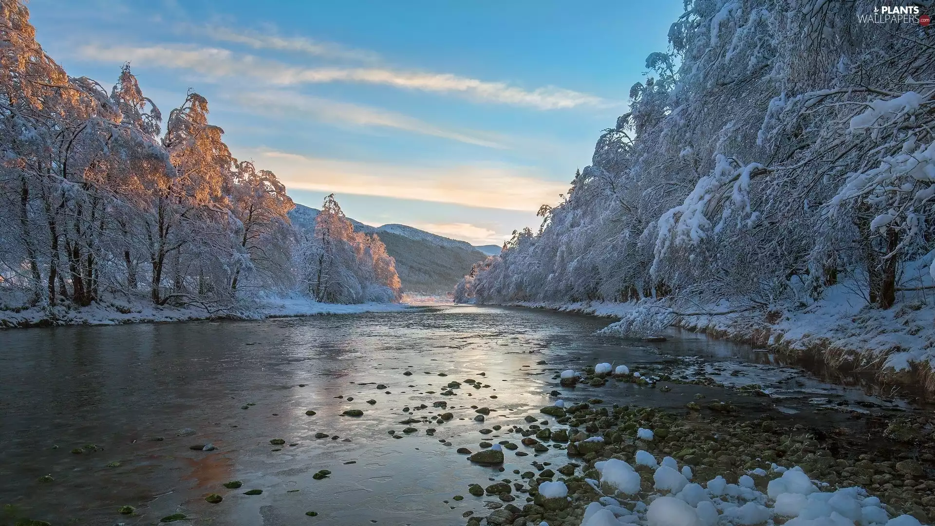 trees, River, Mountains, frosty, winter, viewes, Stones