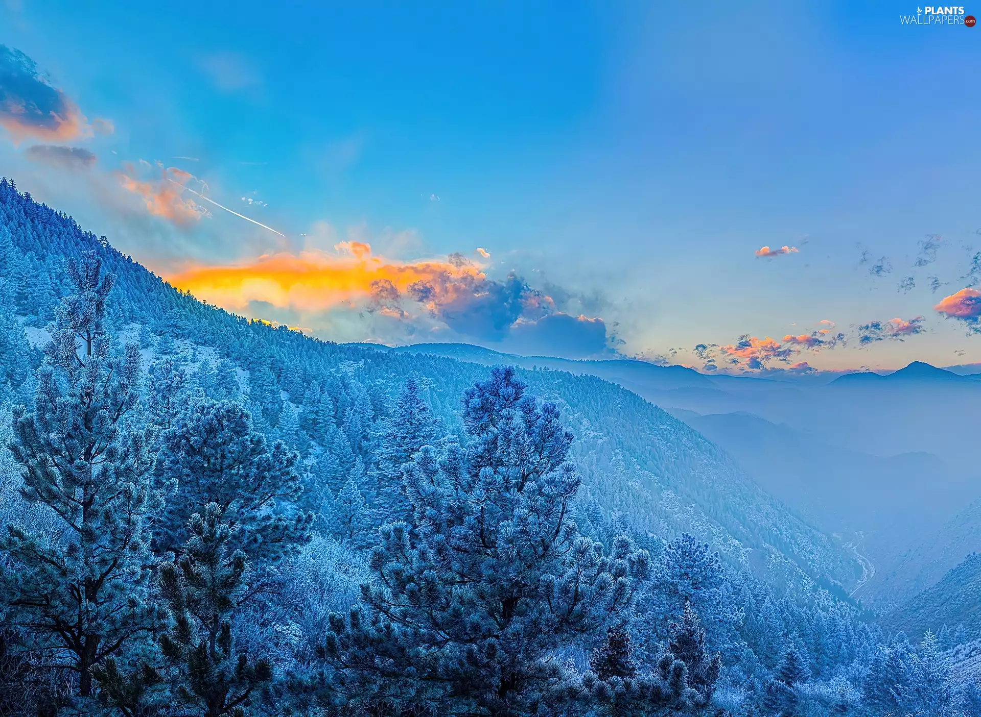 Fog, Sky, viewes, clouds, trees, forest, Mountains, frosty
