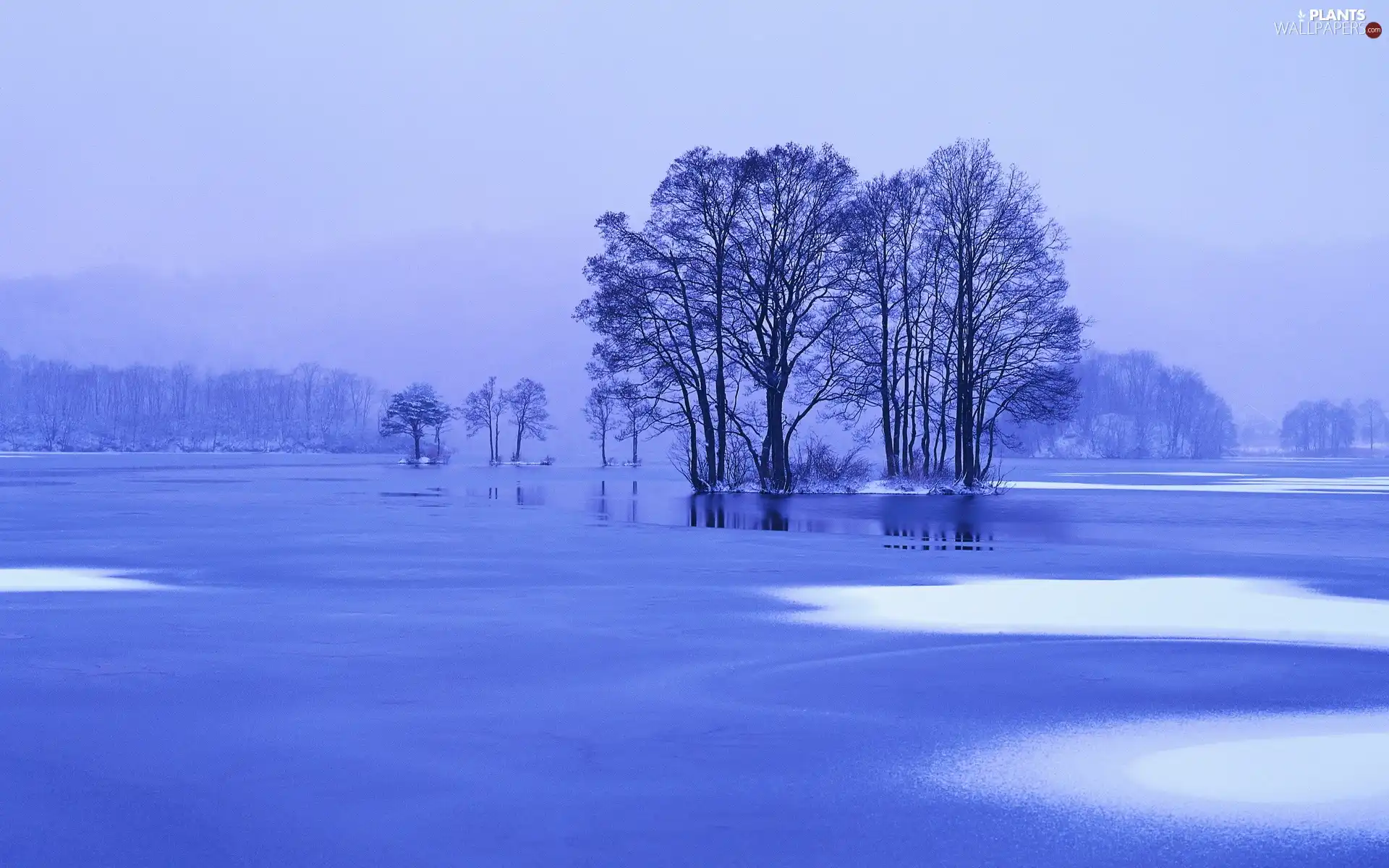 frozen, lake, viewes, winter, trees