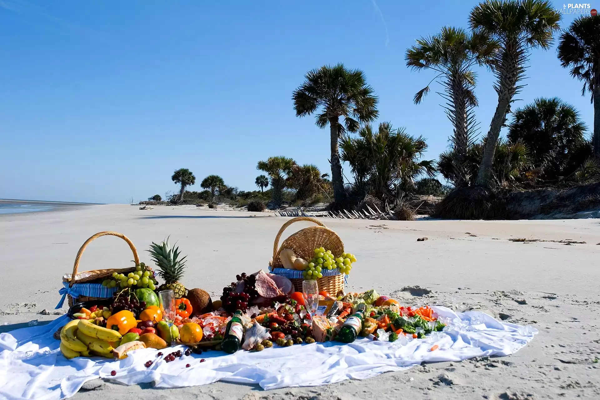 Baskets, Fruits, Palms, Picnic, Beaches