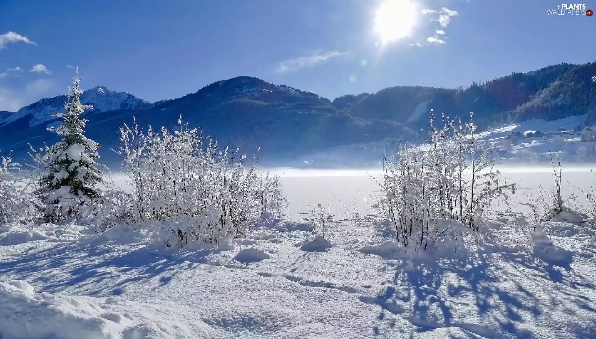 Mountains, Carinthia, Weißensee Lake, trees, winter, Austria, Gailtal Alps, Bush, rays of the Sun, landscape