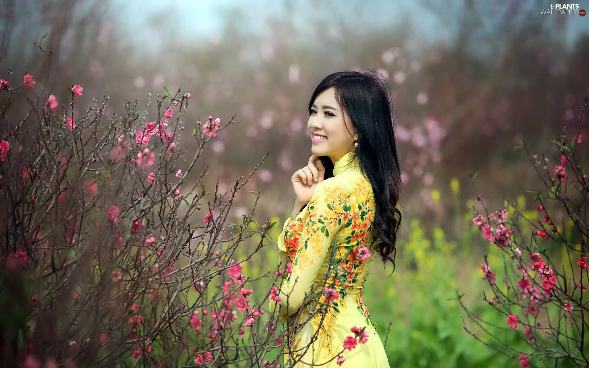 Garden, happy, Bush, Spring, flourishing, Japanese girl