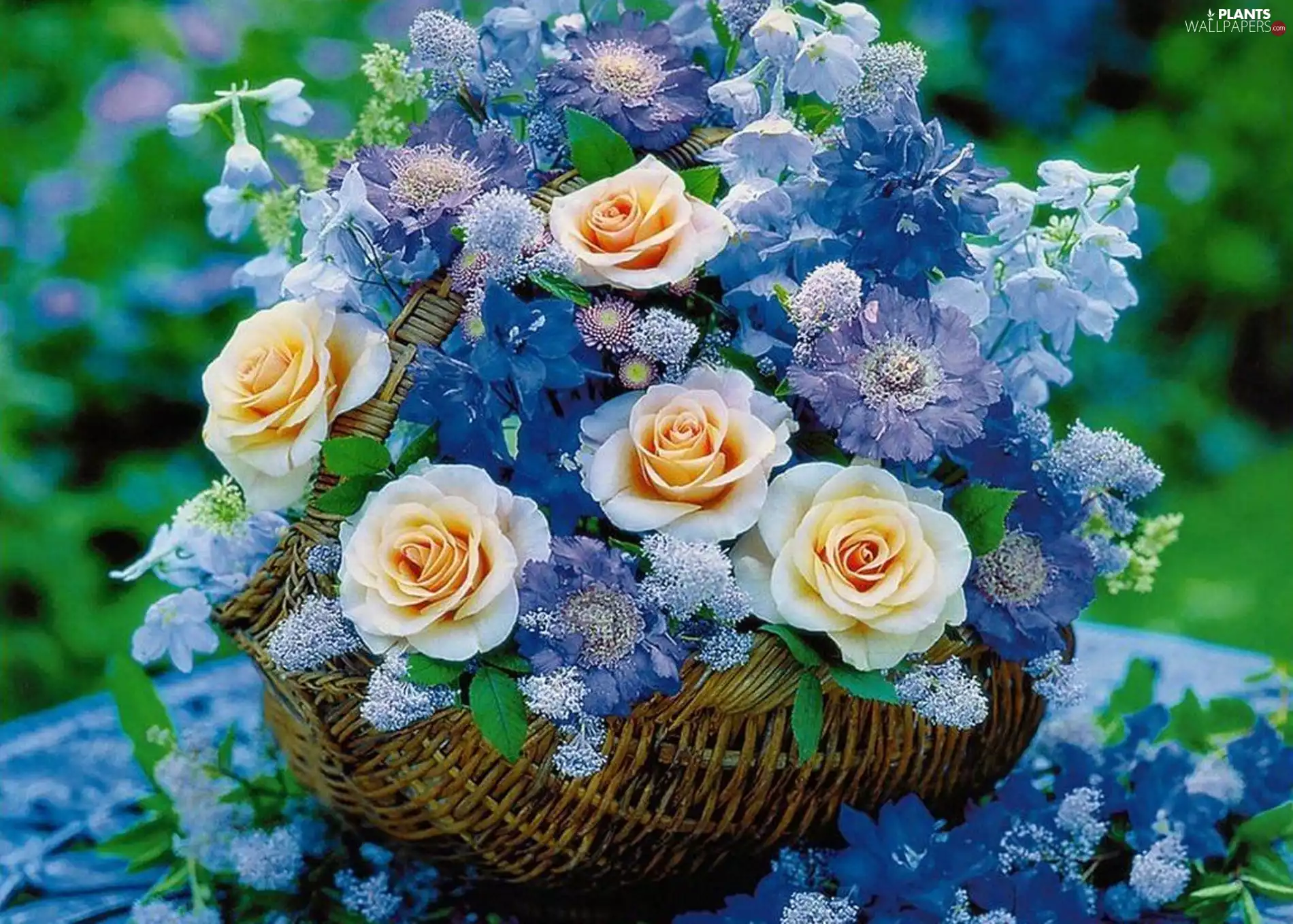 Bench, Garden, flowers, basket, bouquet