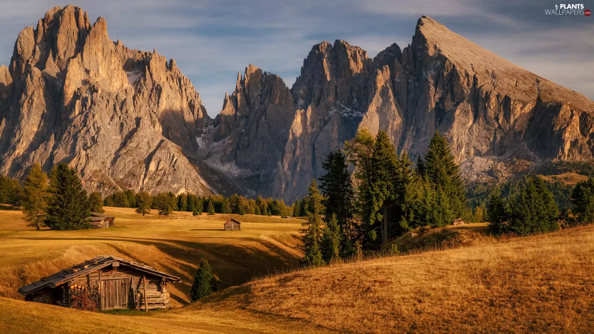 Sassolungo Mountains, Dolomites, wood, Houses, viewes, Italy, Val Gardena Valley, trees, Seiser Alm Meadow