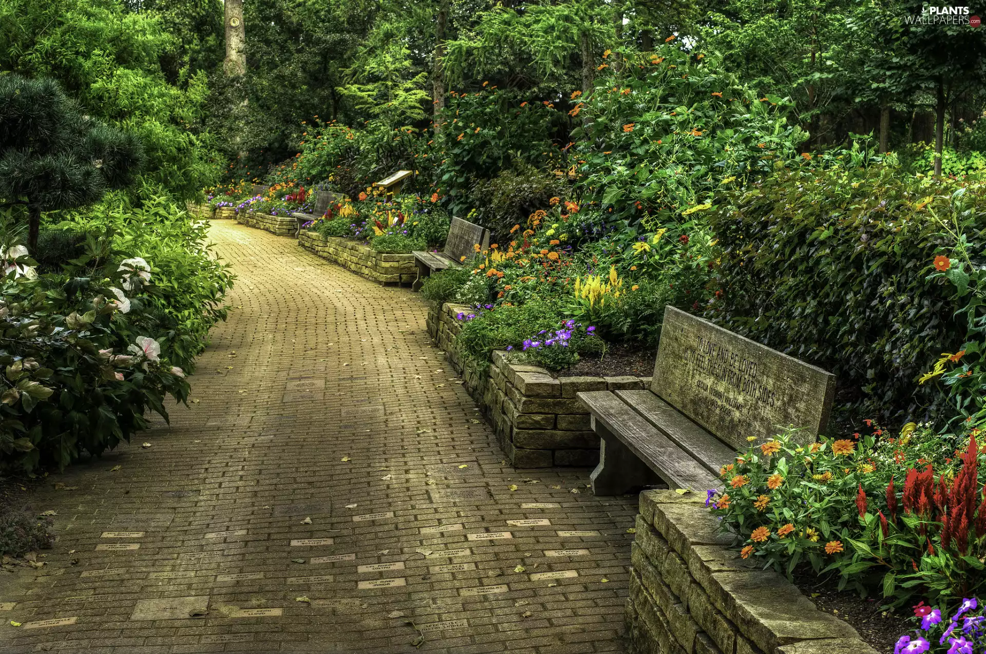 Bush, State of Wisconsin, Rotary Botanical Gardens, trees, lane, The United States, Janesville, viewes, Flowers, bench