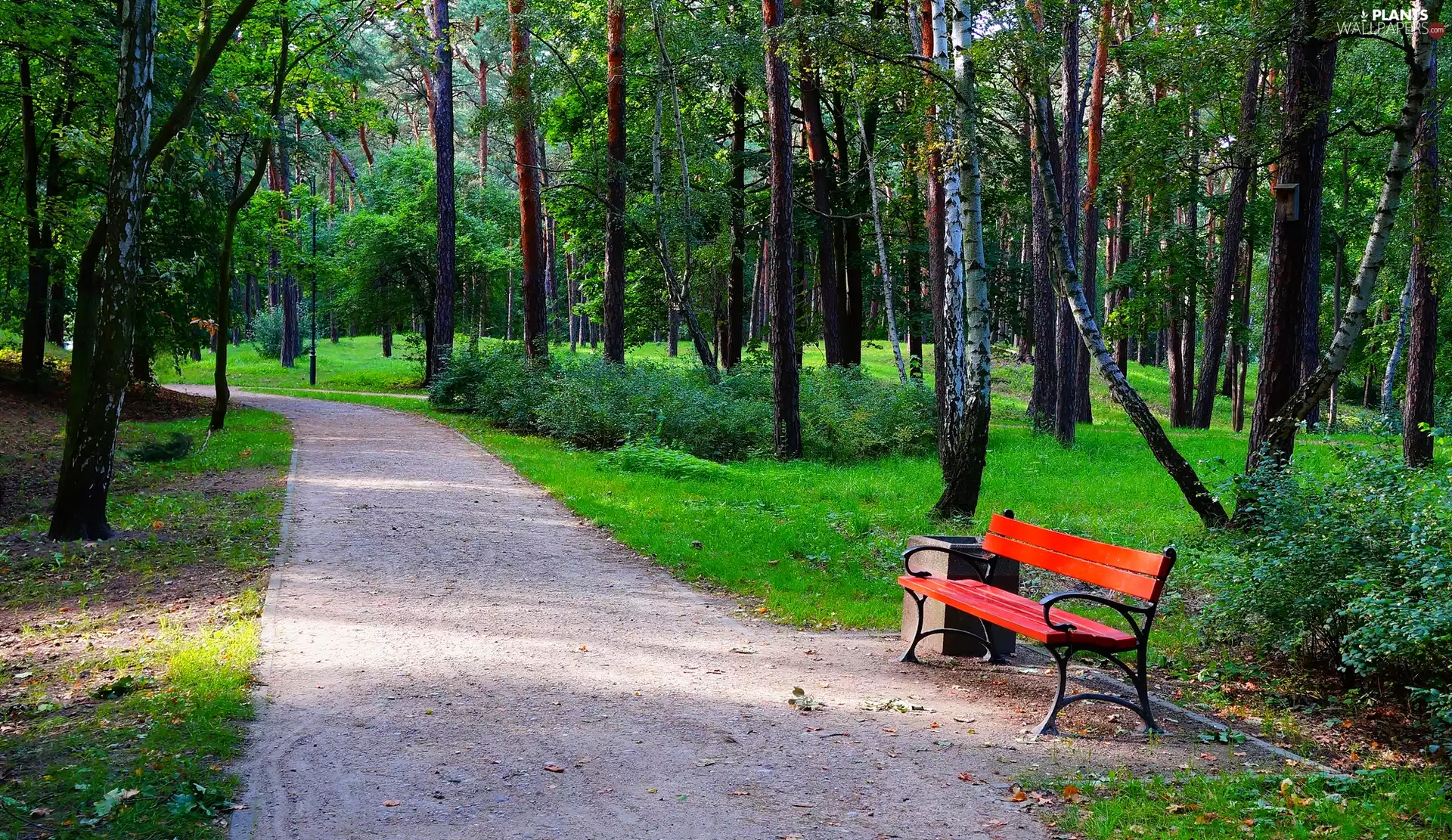 J. J. Haffner Brzeźno Park, lane, green, Bench, viewes, Gdańsk, Poland, trees