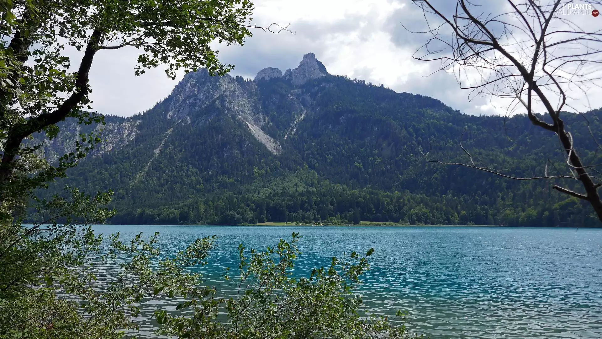 Bavaria, lake, viewes, Germany, trees, Alps