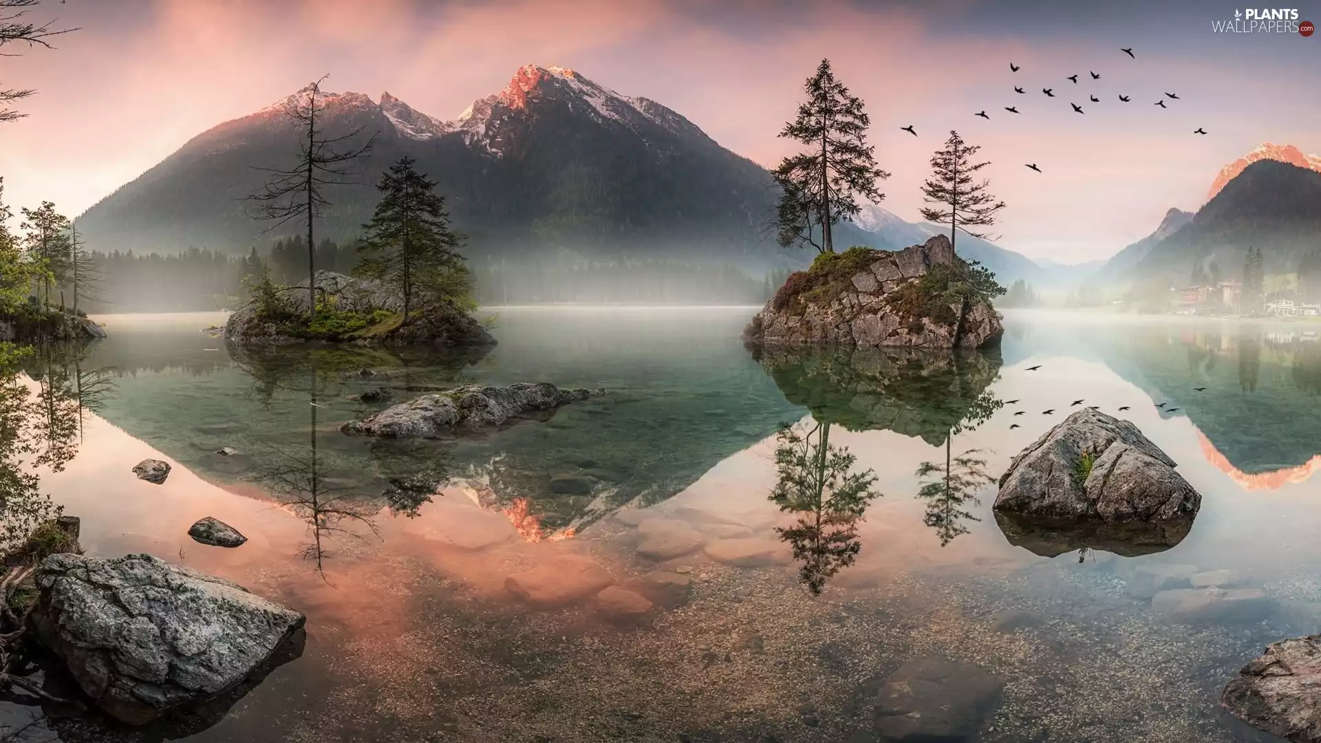 rocks, Lake Hintersee, trees, viewes, Bavaria, Germany, Fog, birds, Alps Mountains