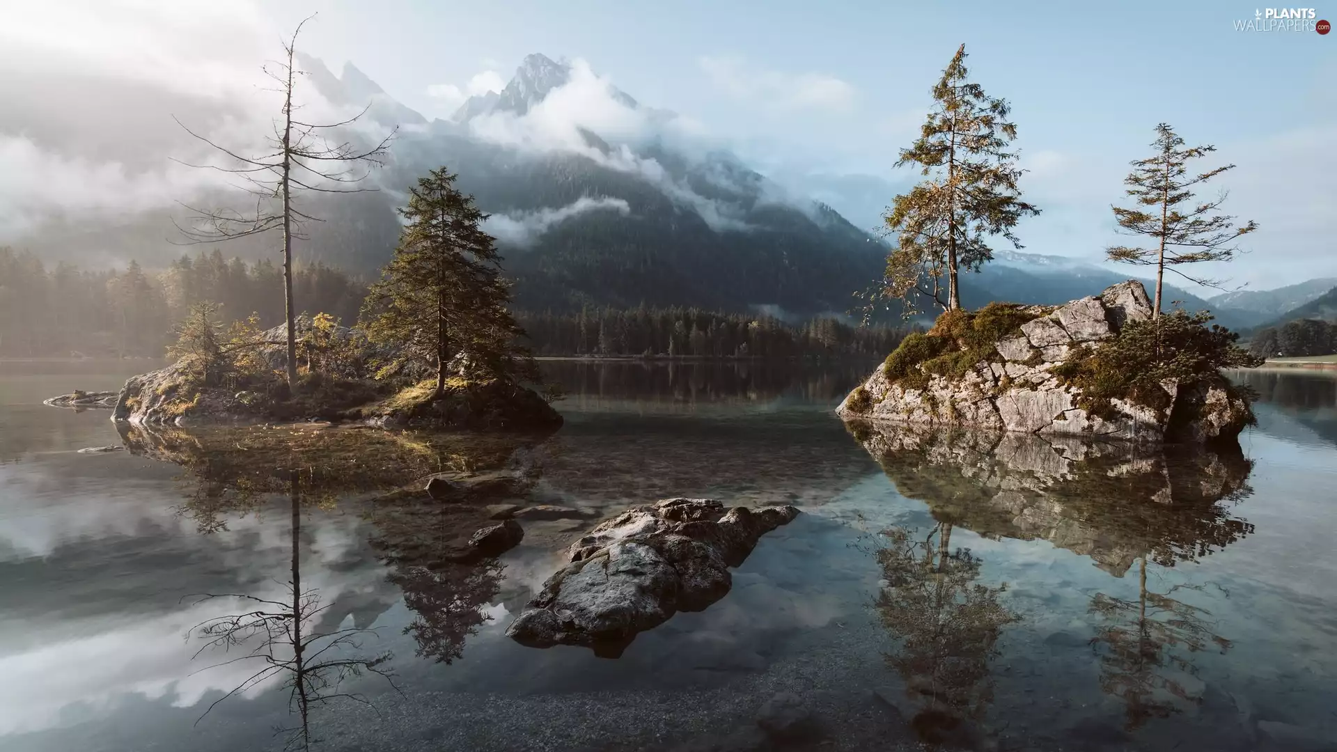 Germany, Alps Mountains, Fog, rocks, viewes, Bavaria, Lake Hintersee, trees