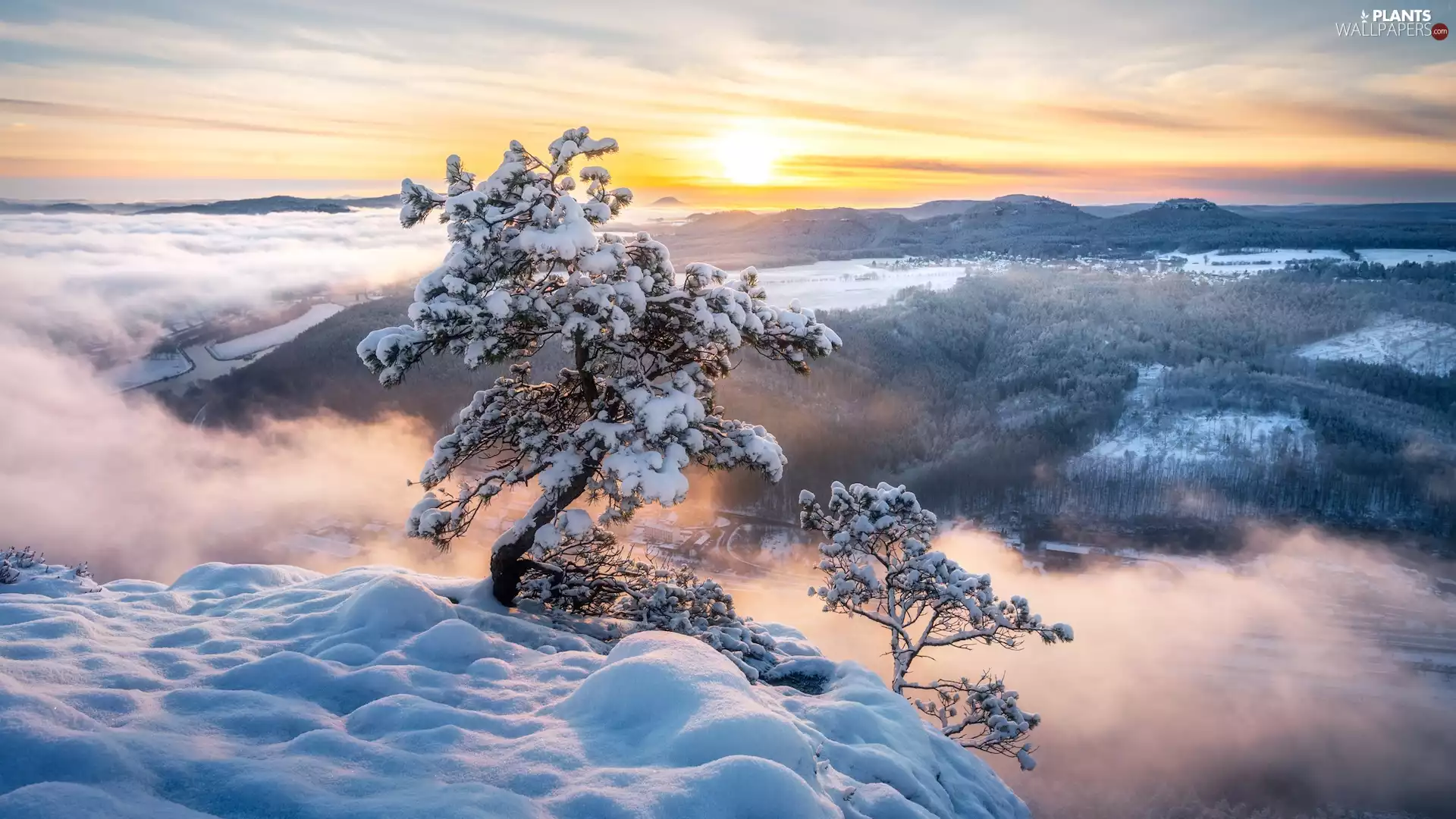 Saxon Switzerland National Park, Děčínská vrchovina, Fog, winter, viewes, Germany, Sunrise, trees