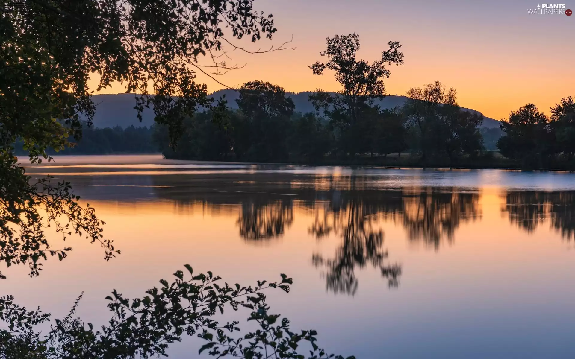 trees, Sunrise, reflection, Germany, viewes, Moselle River