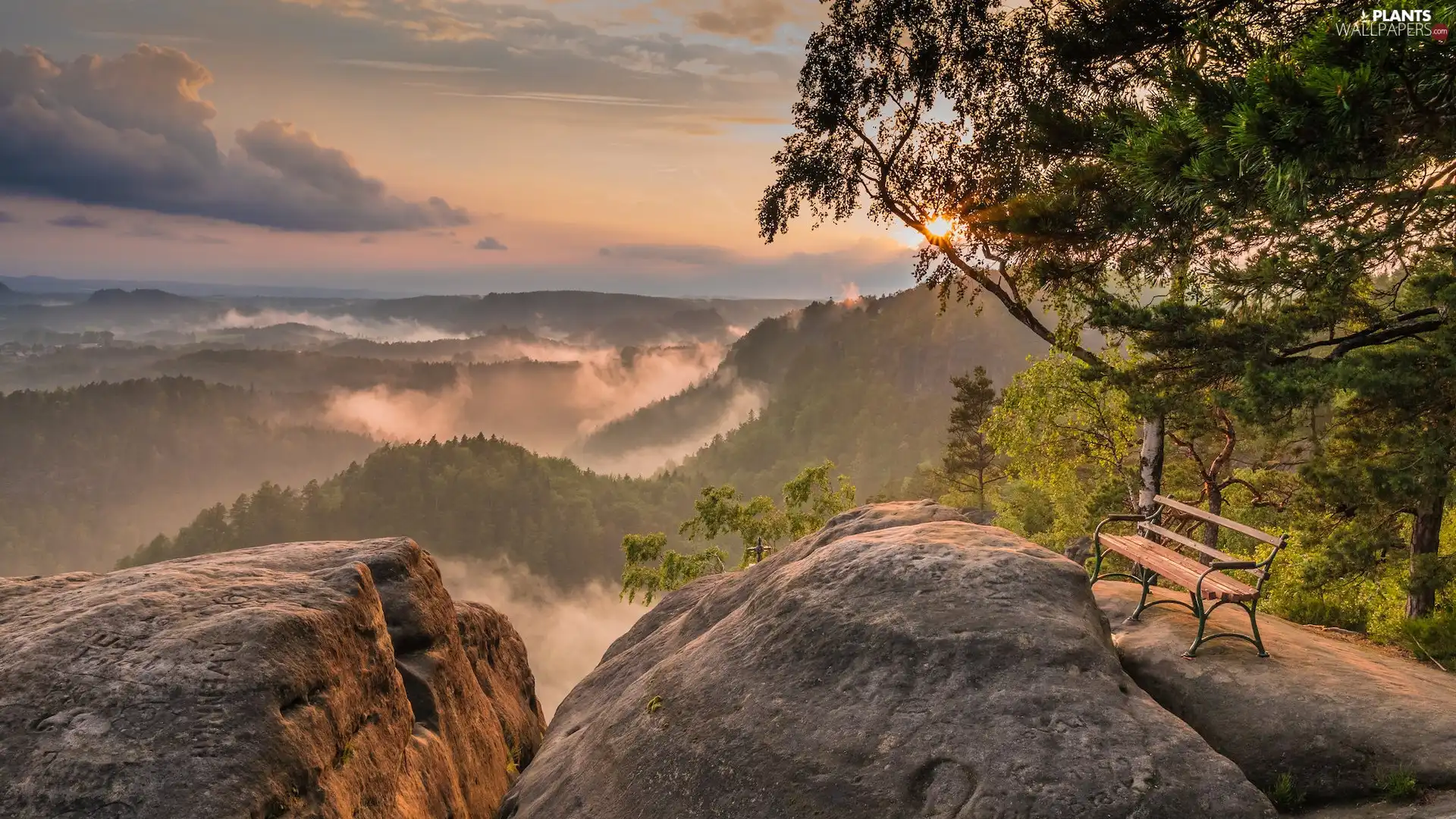 rocks, Saxon Switzerland National Park, Bench, Germany, trees, Děčínská vrchovina