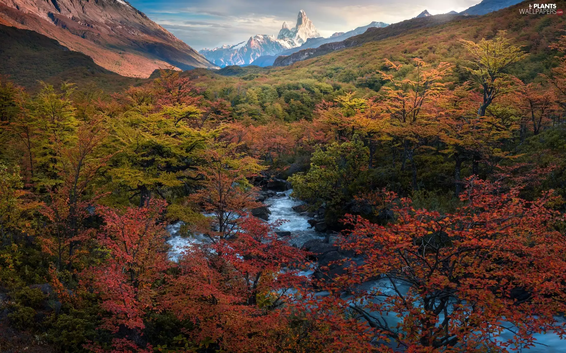 viewes, Andes Mountains, Fitz Roy, Patagonia, Los Glaciares National Park, autumn, mountains, Argentina, River, trees