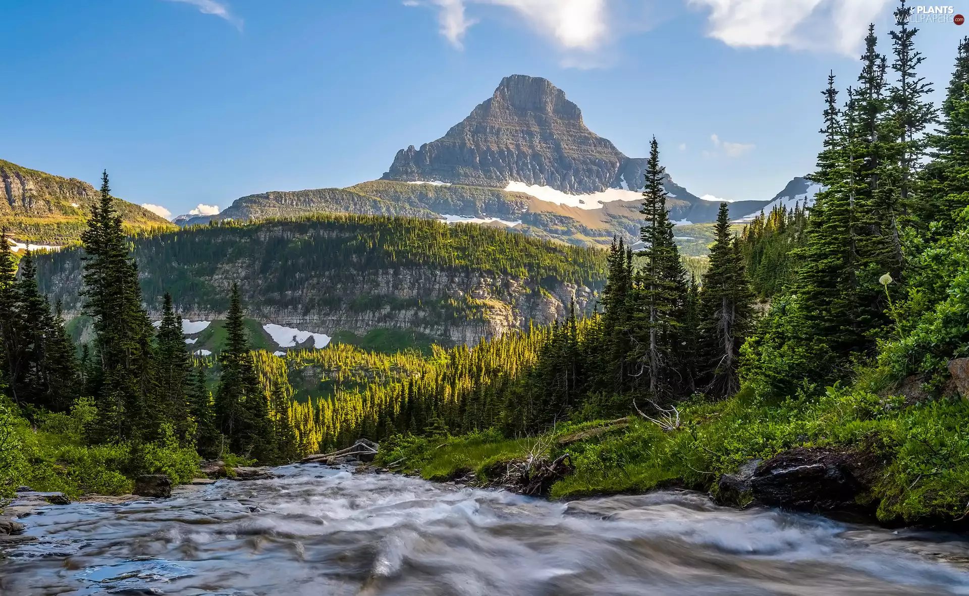 River, Montana, viewes, The United States, Glacier National Park, trees, Mountains