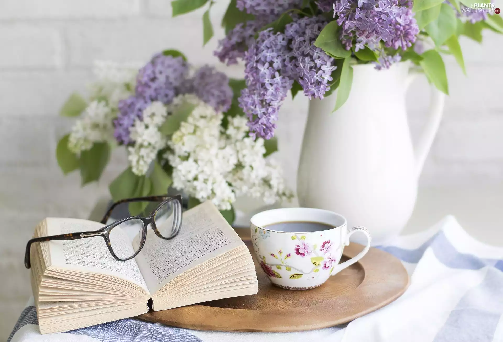 Glasses, without, Bouquets, coffee, jug, Flowers, Syringa, Tray, cup, Book