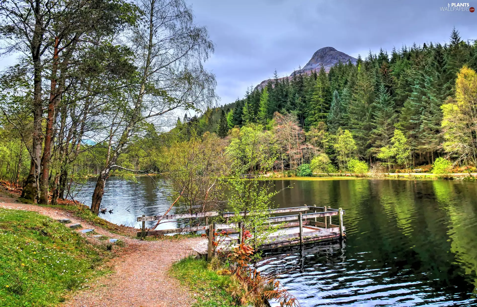 Glencoe Lochan Trail, Scotland, lake, Mount Pap of Glencoe, trees, viewes, woods, autumn, Platform