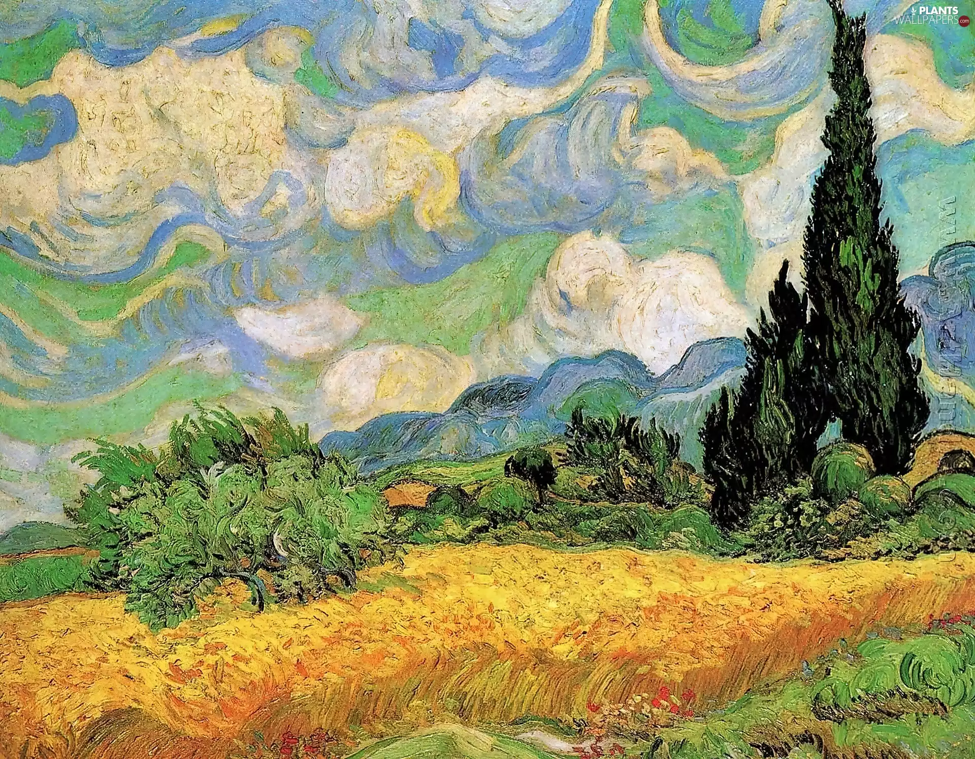 Field, Vincent, Van Gogh