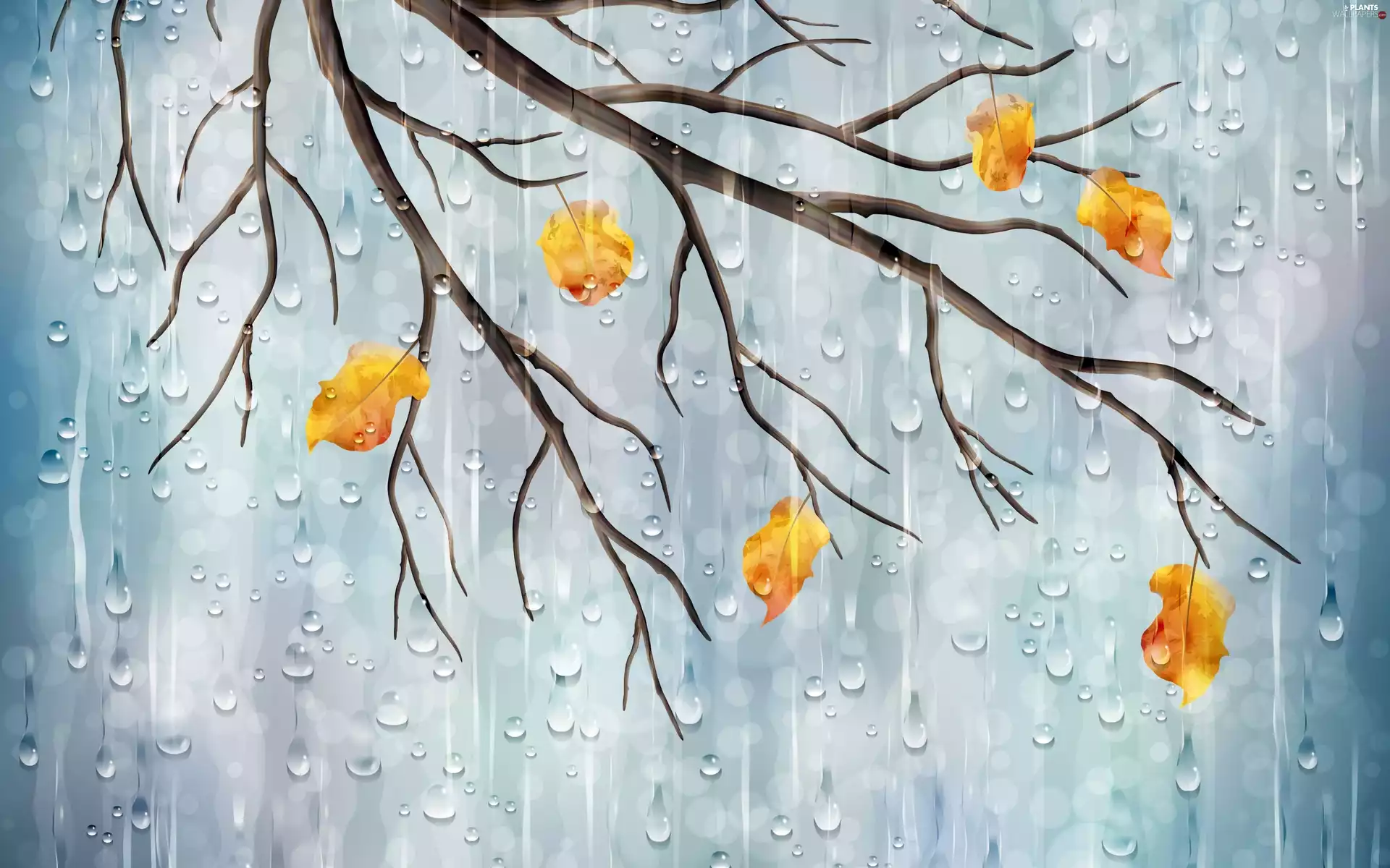 Leaf, trees, Rain, graphics, autumn, branch