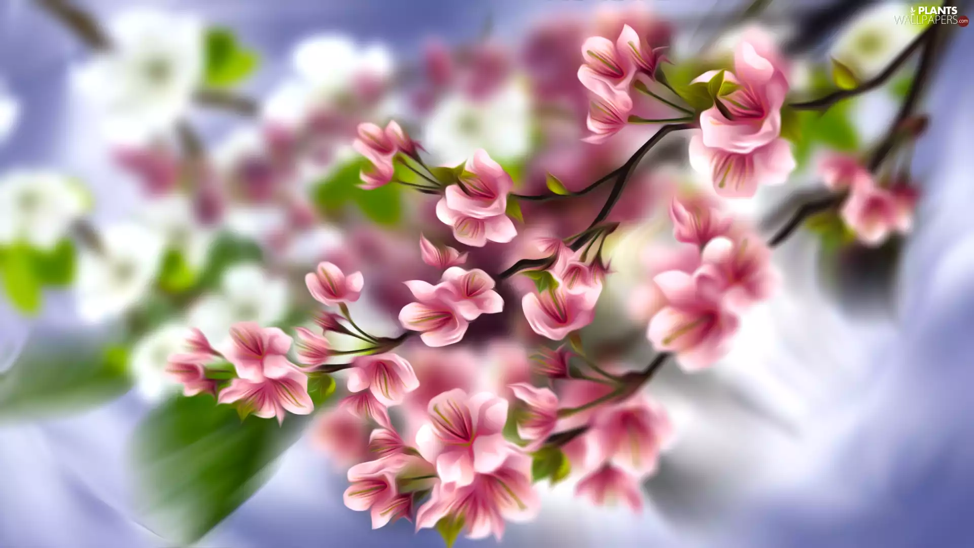 graphics, Twigs, cherry