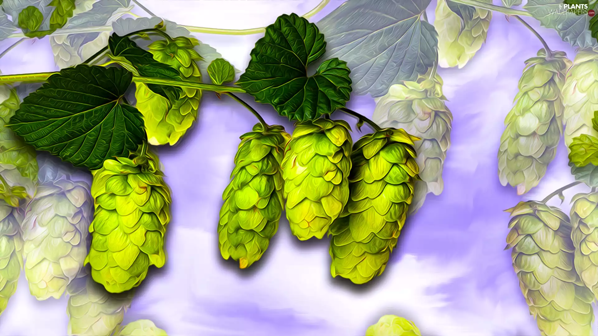 graphics, hop, cones