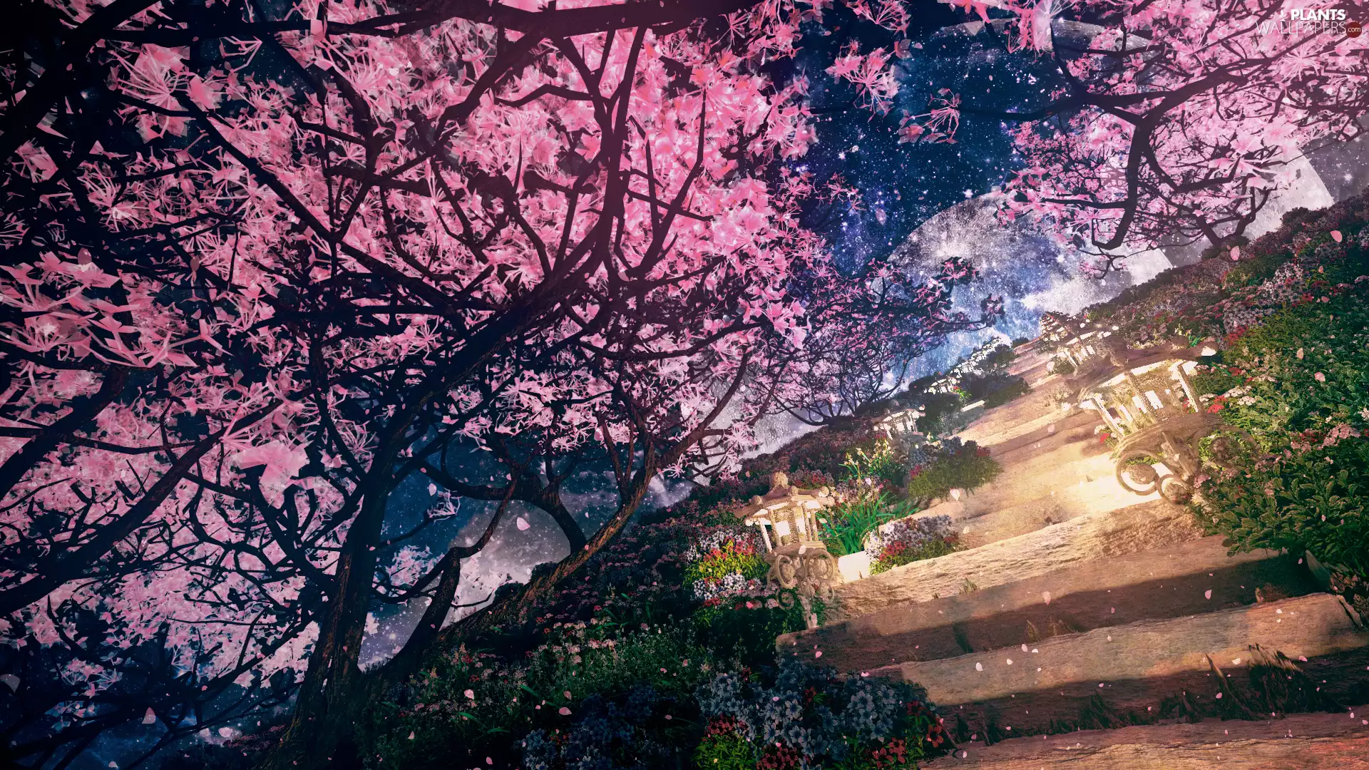 trees, flower, Stairs, graphics, viewes, Garden