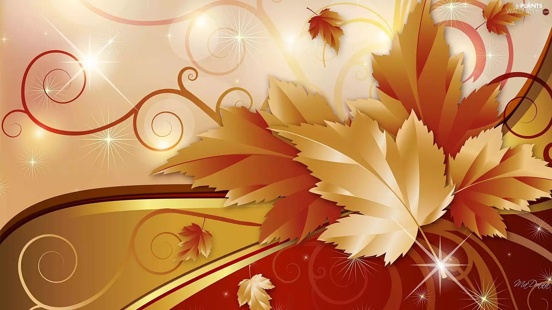 graphics, Autumn, Leaf