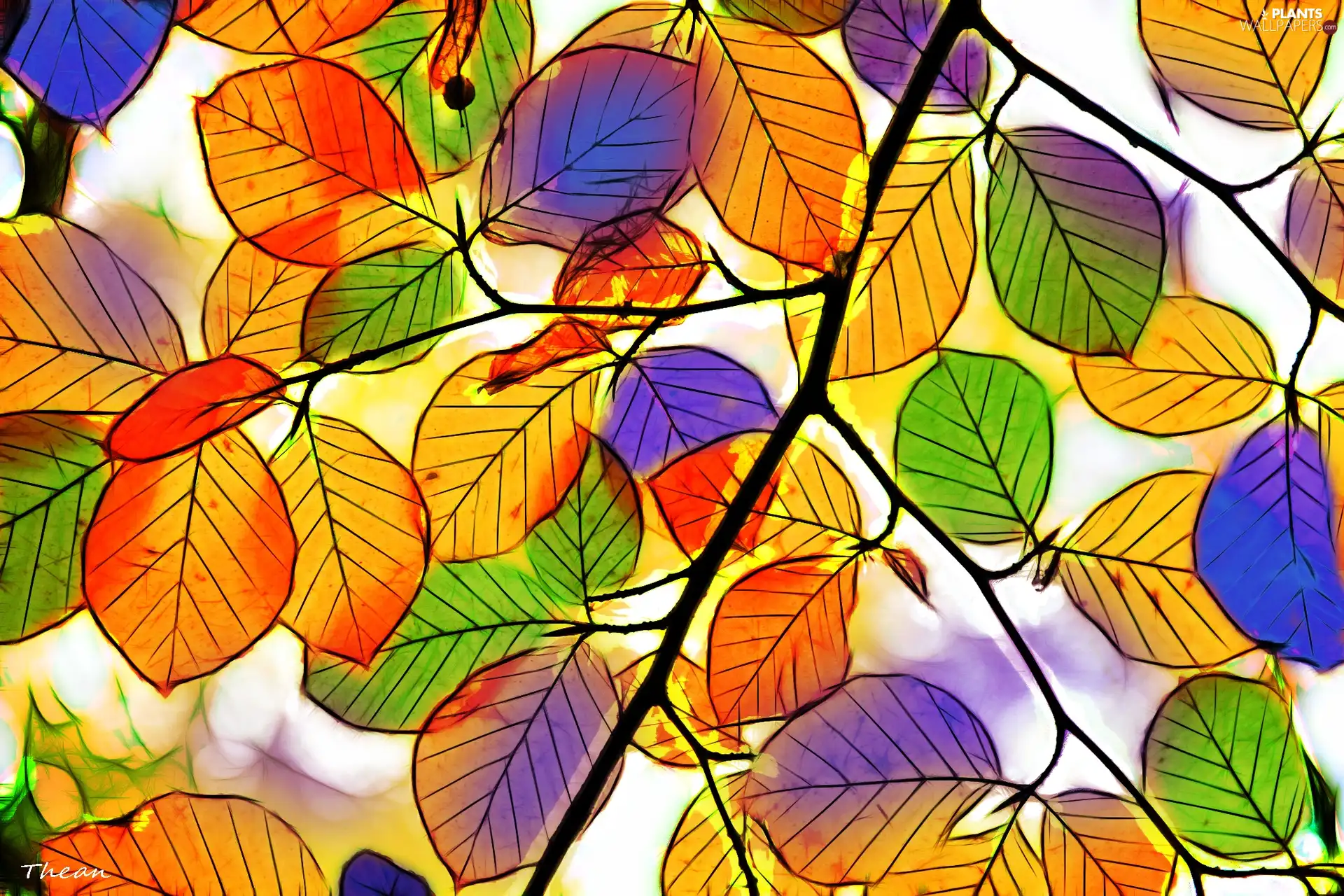 graphics, color, Leaf
