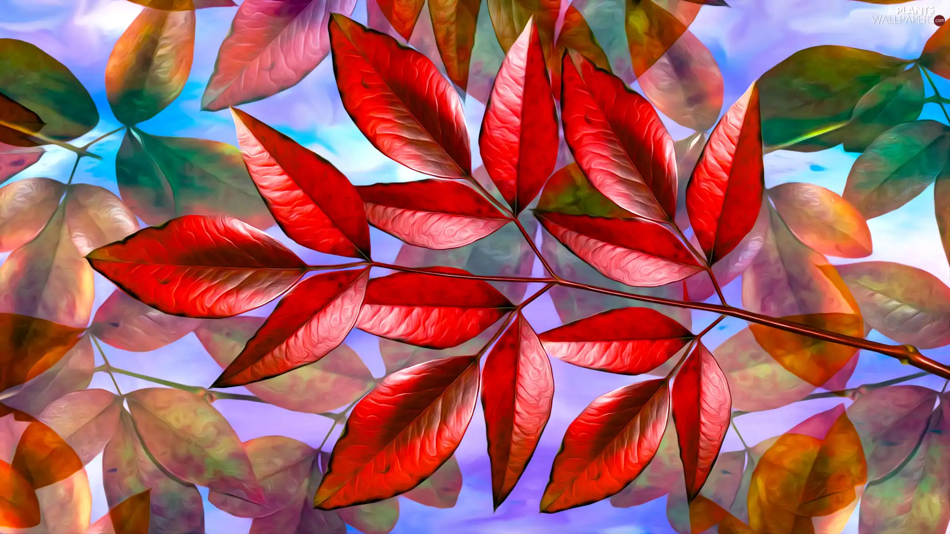 graphics, Leaf, Red