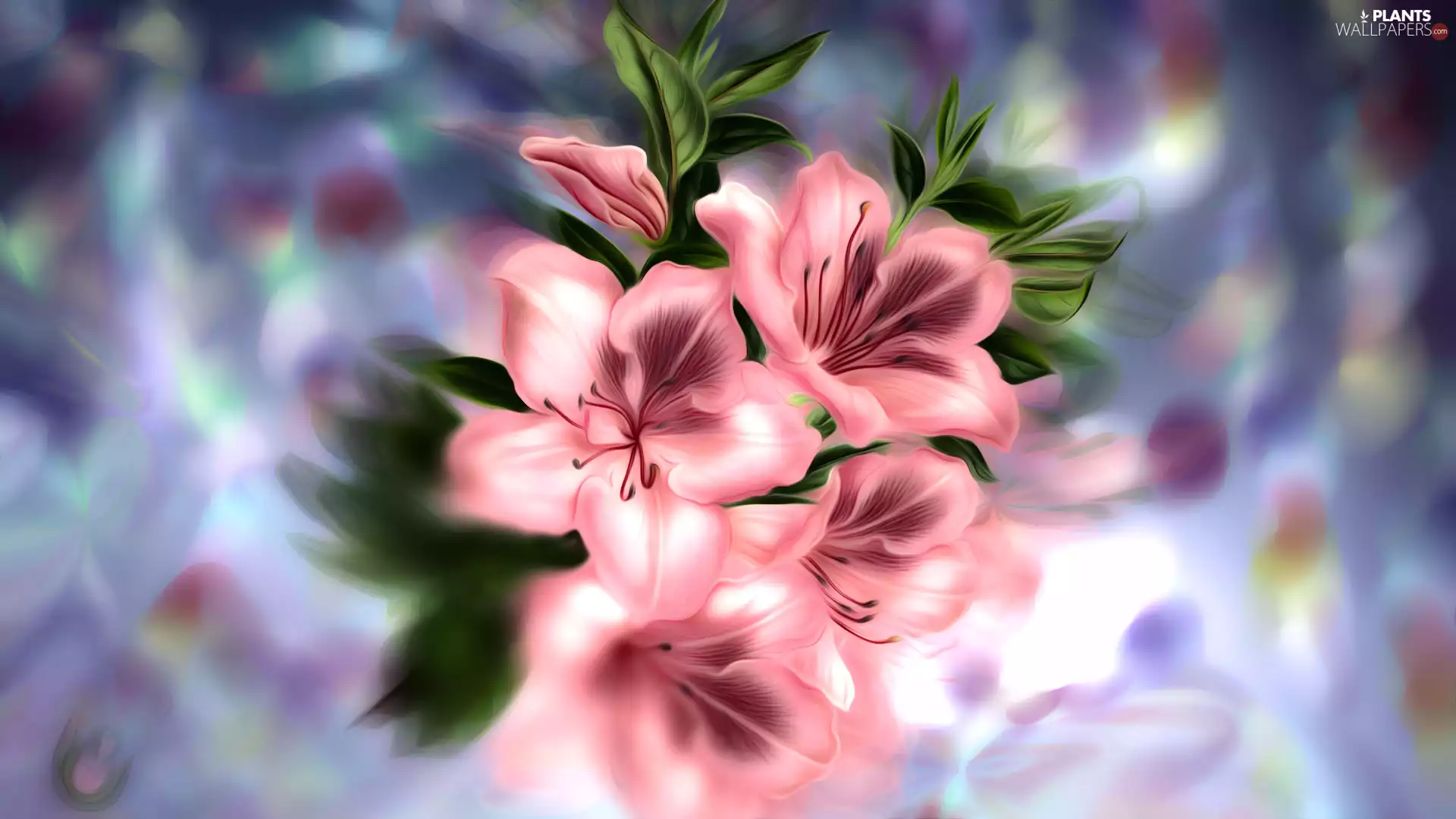 graphics, Flowers, rhododendron