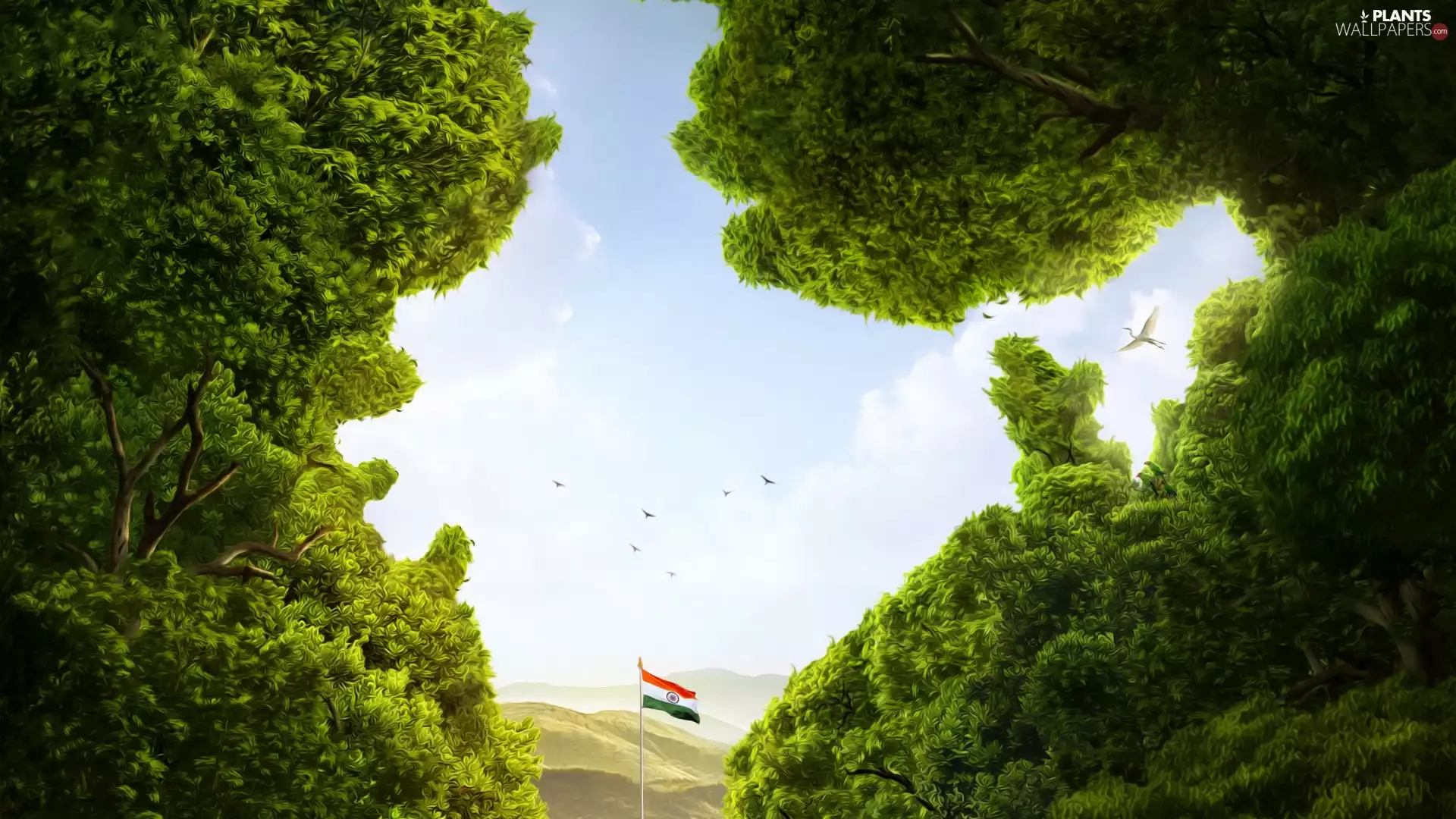 viewes, birds, India, graphics, flag, trees