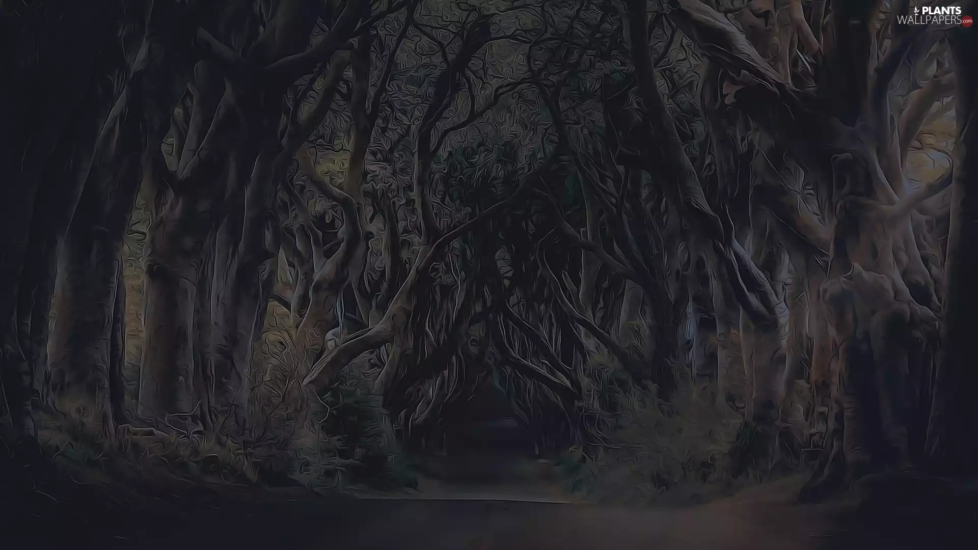 forest, graphics, trees, viewes, Way