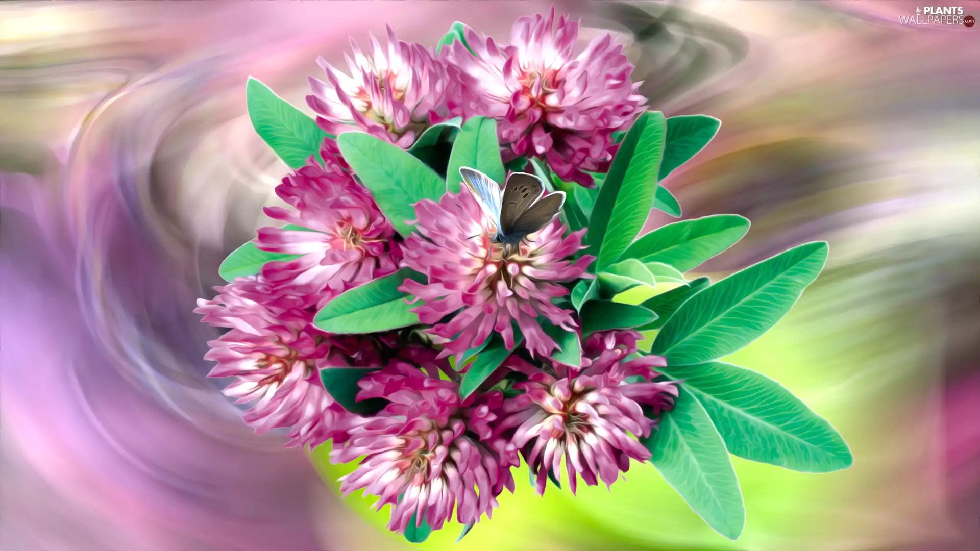 butterfly, graphics, trefoil, composition, Flowers