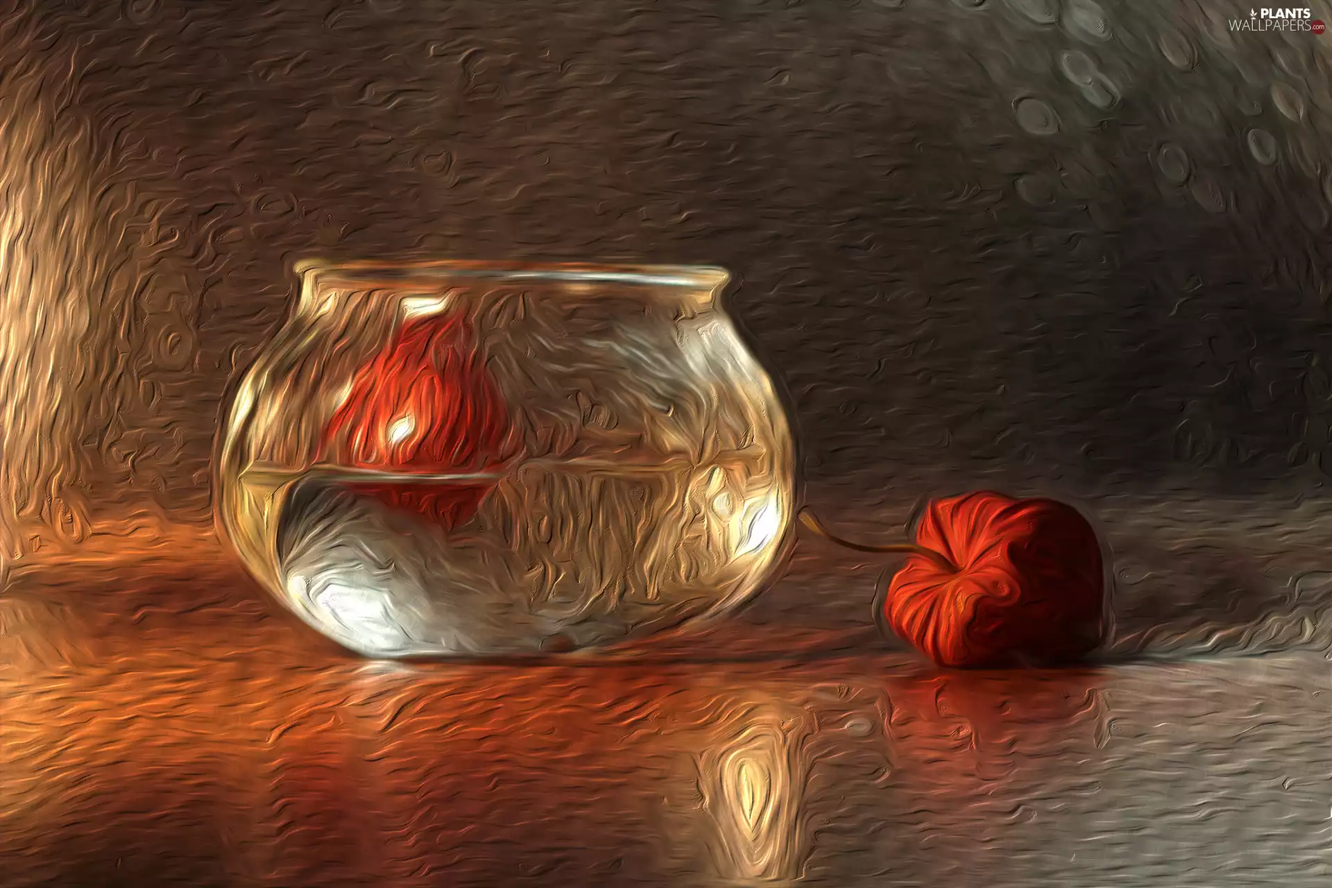 graphics, physalis, vase