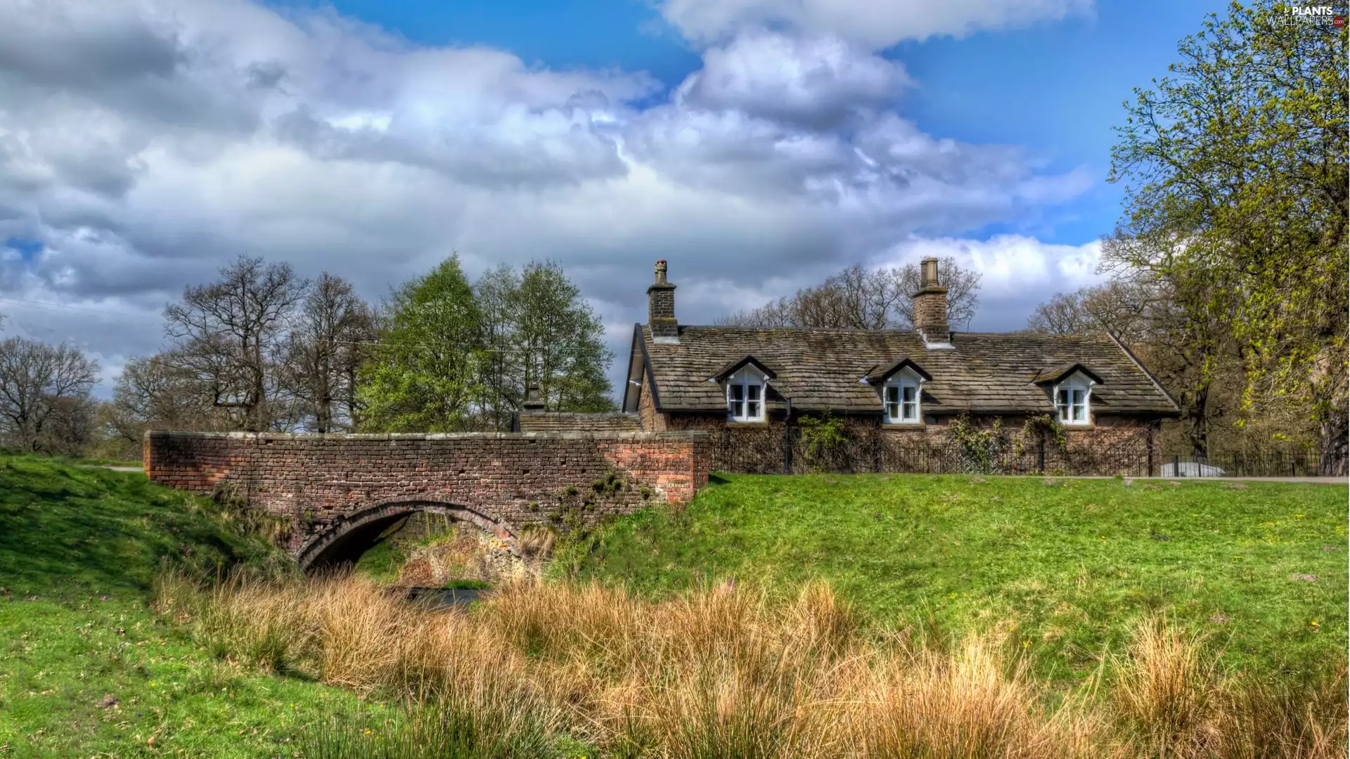 viewes, grass, bridges, trees, house