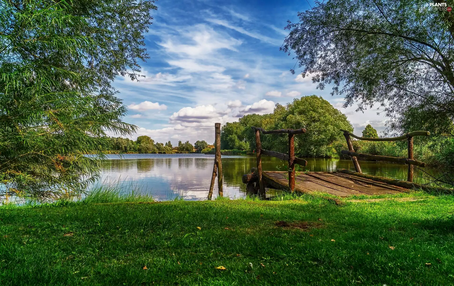 viewes, grass, bridges, trees, lake