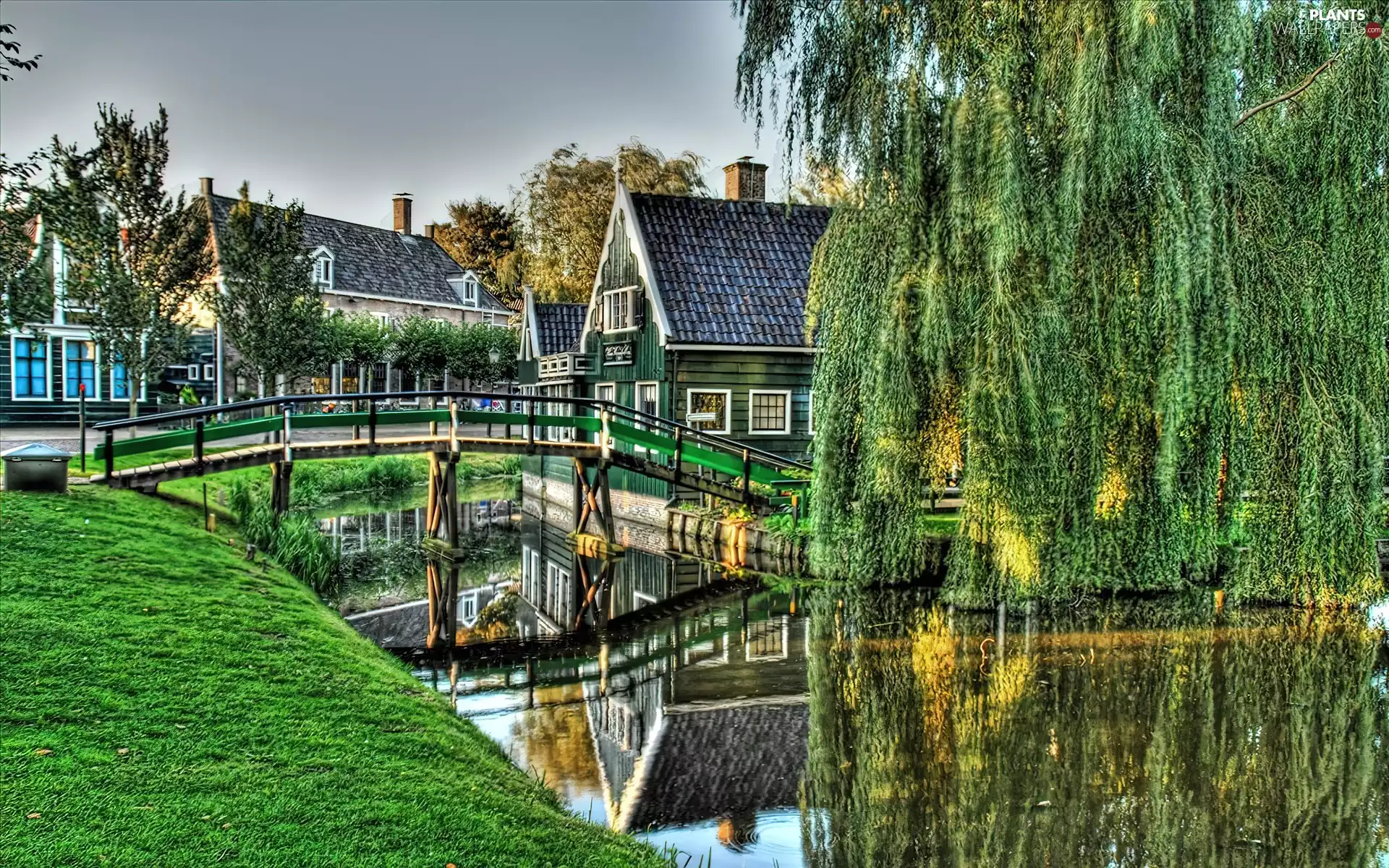 Houses, River, viewes, grass, trees, bridges