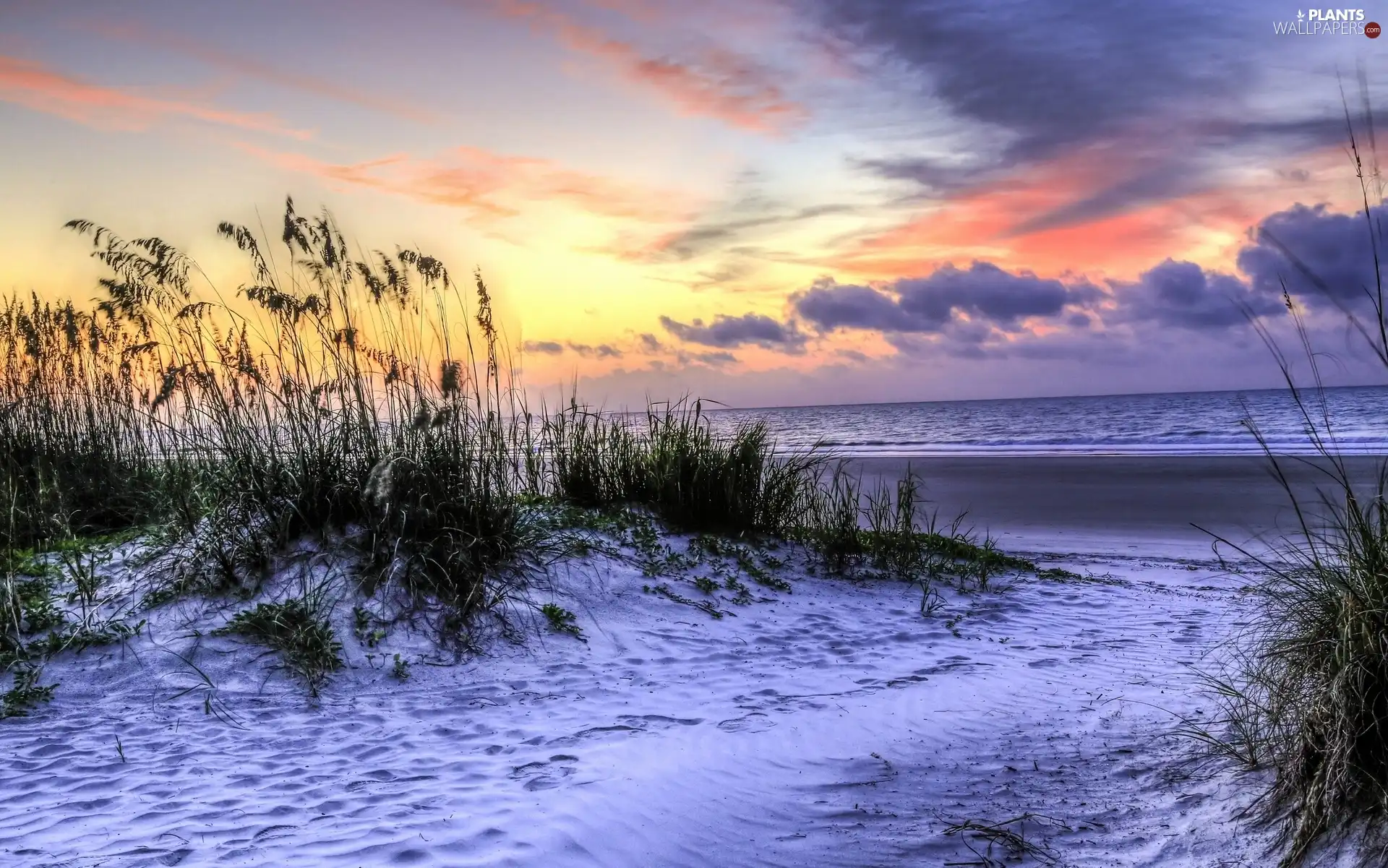 clouds, Beaches, grass, sea